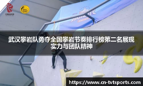 TVT体育官方网站